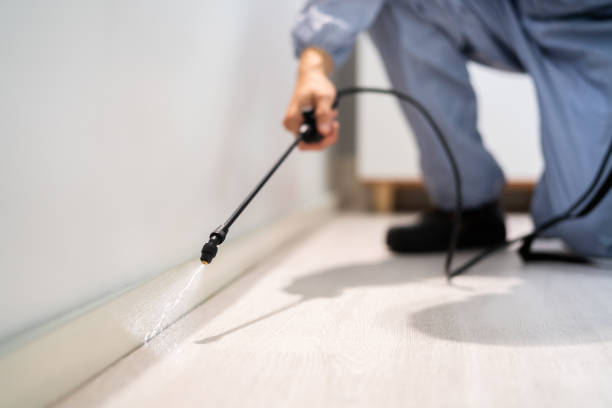 Professional exterminator conducting IPM assessment in Brooktrails